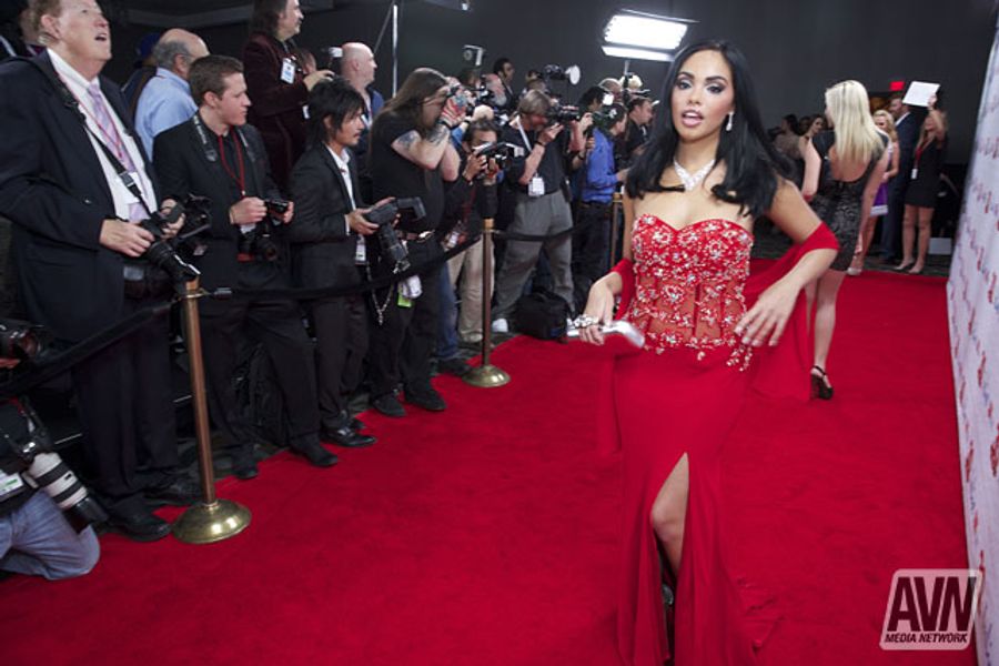 2013 AVN Awards - Behind the Red Carpet (Gallery 2)