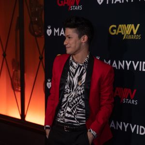 2020 GayVN Awards - Red Carpet (Gallery 1) - Image 603832