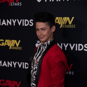 2020 GayVN Awards - Red Carpet (Gallery 1) - Image 603833