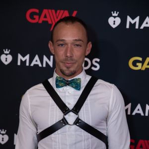2020 GayVN Awards - Red Carpet (Gallery 1) - Image 603839