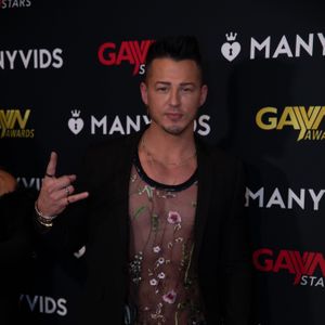 2020 GayVN Awards - Red Carpet (Gallery 1) - Image 603878