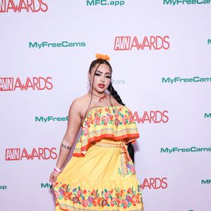 2026 AVN Awards Show - Red Carpet (Part 12) - Image 648649