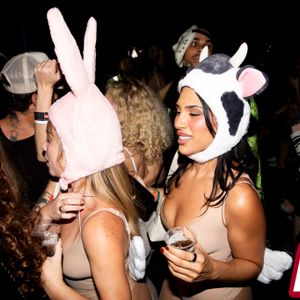 PillowTalk 'Kirgo' Halloween Festival - Image 637856