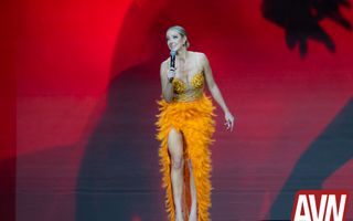 2026 AVN Awards Show (Part 3)