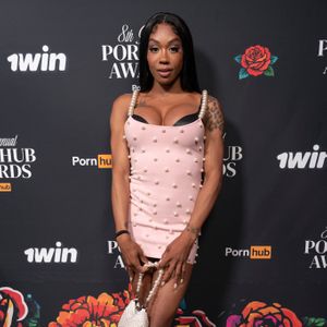 8th Annual Pornhub Awards - Image 653776