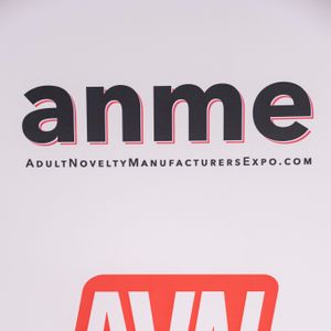 2026 ANME Show - 'Retail Knowledge for Brick and Mortar Stores' Panel - Image 653971