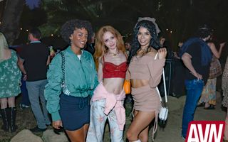 13th Annual Vice is Nice 'Party With a Purr-Pose'