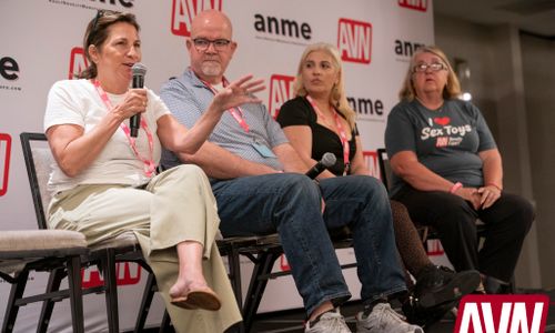 2026 ANME Show - 'AV and the Novelty Industry Legal Panel'