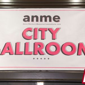 2026 ANME Show - 'AV and the Novelty Industry Legal Panel' - Image 654133