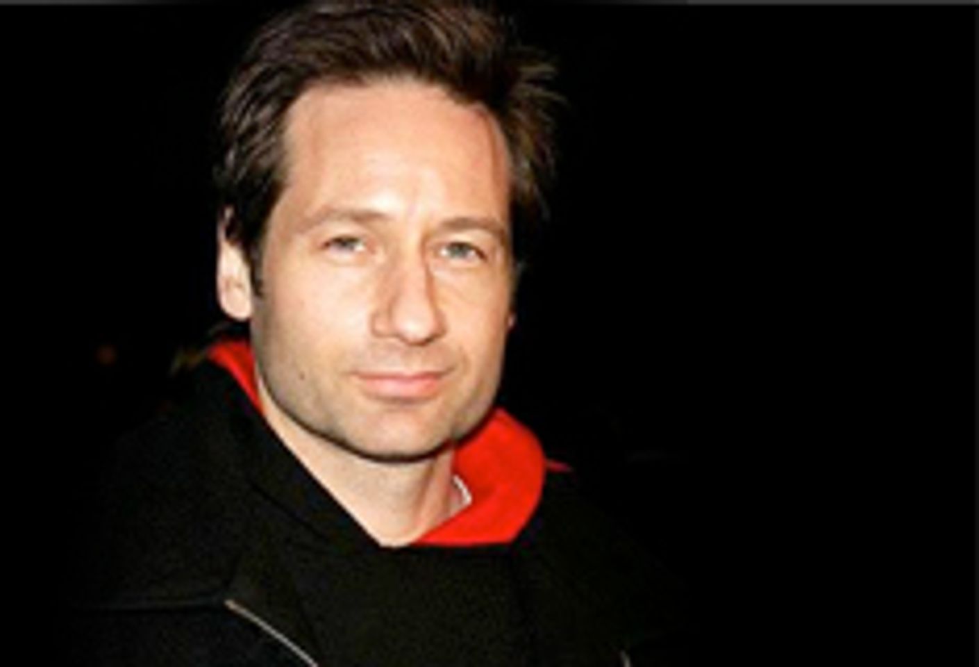 David Duchovny Completes Sex Addiction Rehab