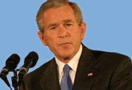 Bush Signs Intellectual Property Enforcement Act