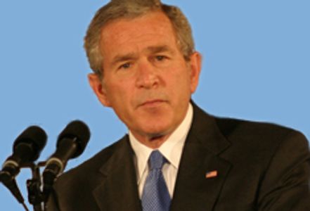 Bush Signs Intellectual Property Enforcement Act