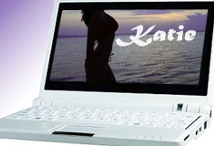 Webquest On the Hunt for 'Katie'