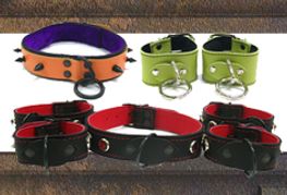 Spartacus Adds Features to Collar Factory