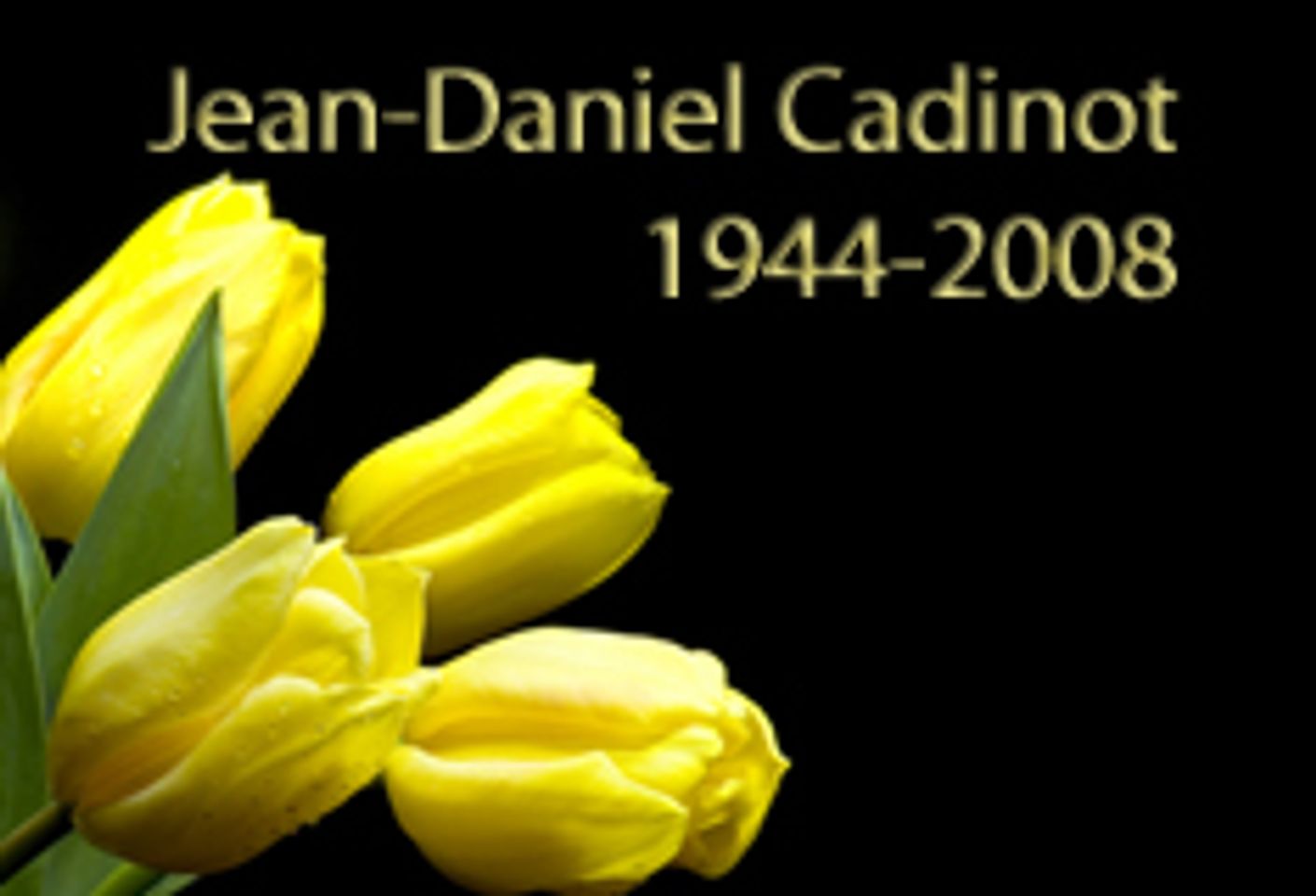 Jean-Daniel Cadinot, 1944-2008