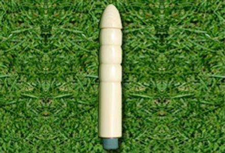 The Eco-Dildo: A Return to Nature