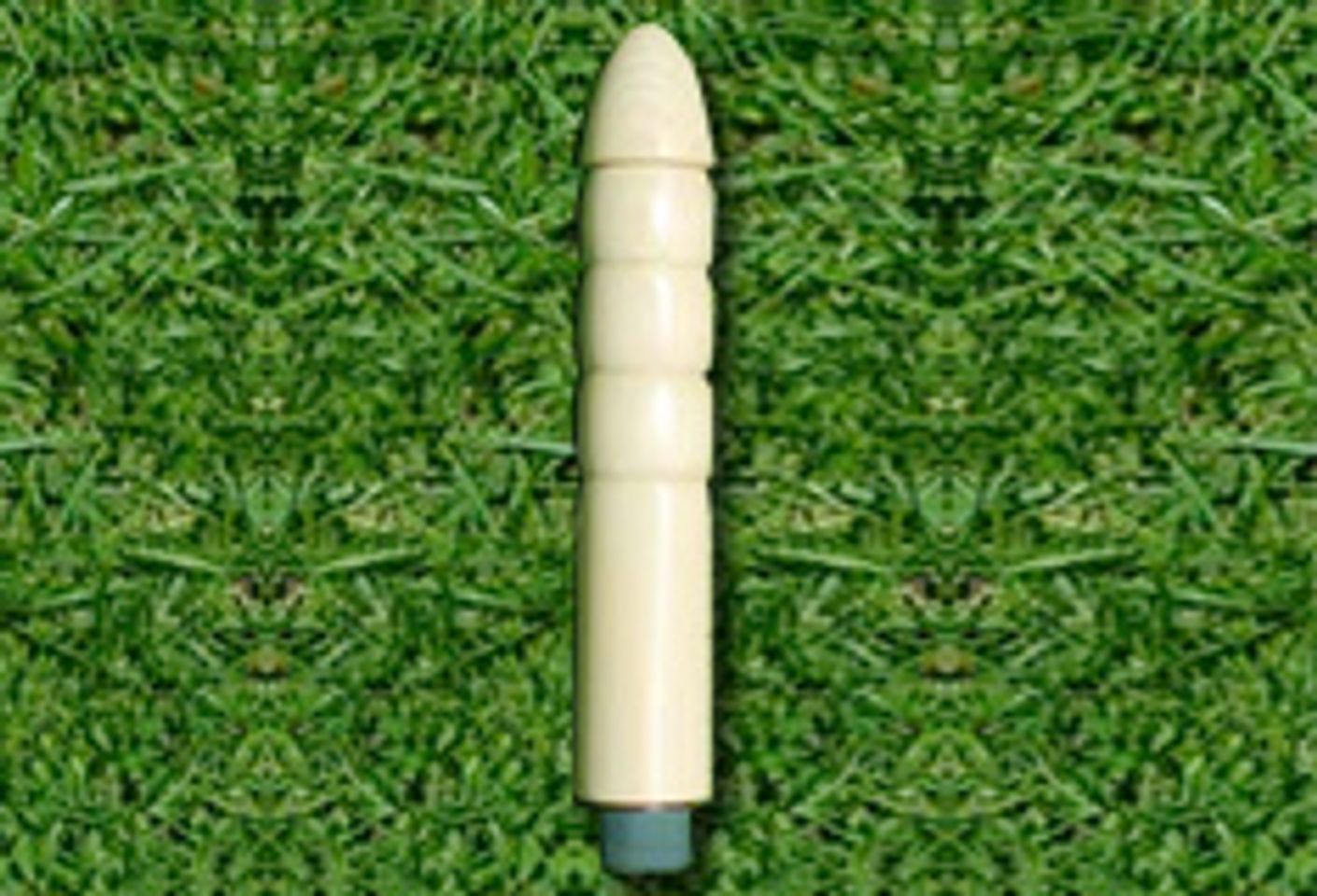 The Eco-Dildo: A Return to Nature