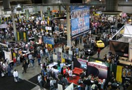 Trade Registration Opens for 2009 AVN Adult Entertainment Expo