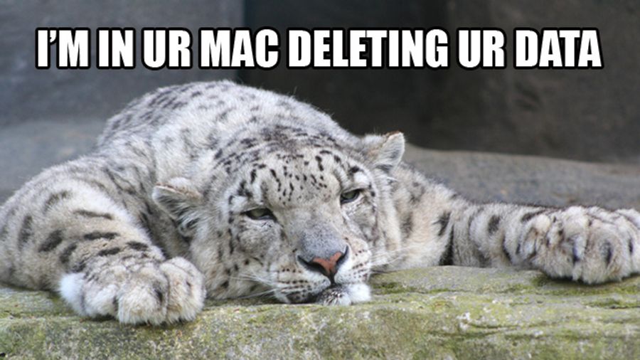 Snow Leopard Bug Deletes All User Data