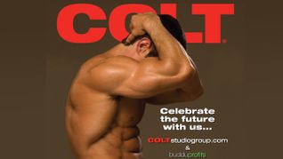 COLT Launches New Online Presence