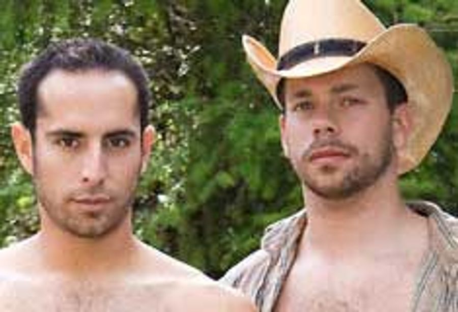 TitanMen Takes 11 Spots on ManNet's '100 Best Videos' List for 2008