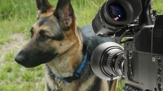 K9 Fuckers Land in the Doghouse