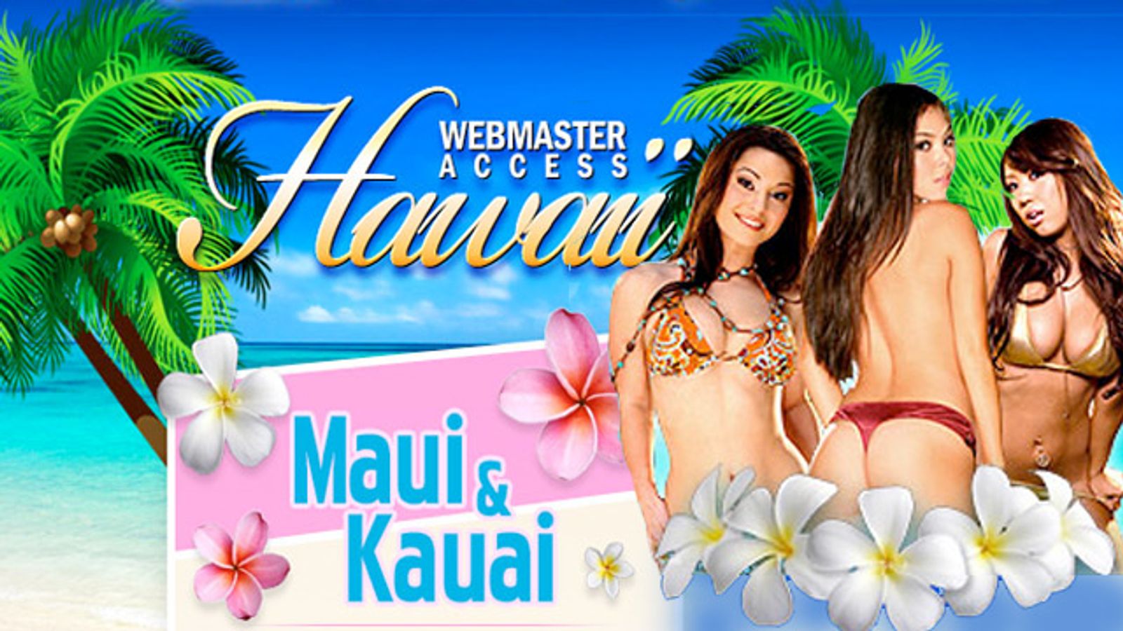 Webmaster Access Hawaii Set for Feb. 25-March 1