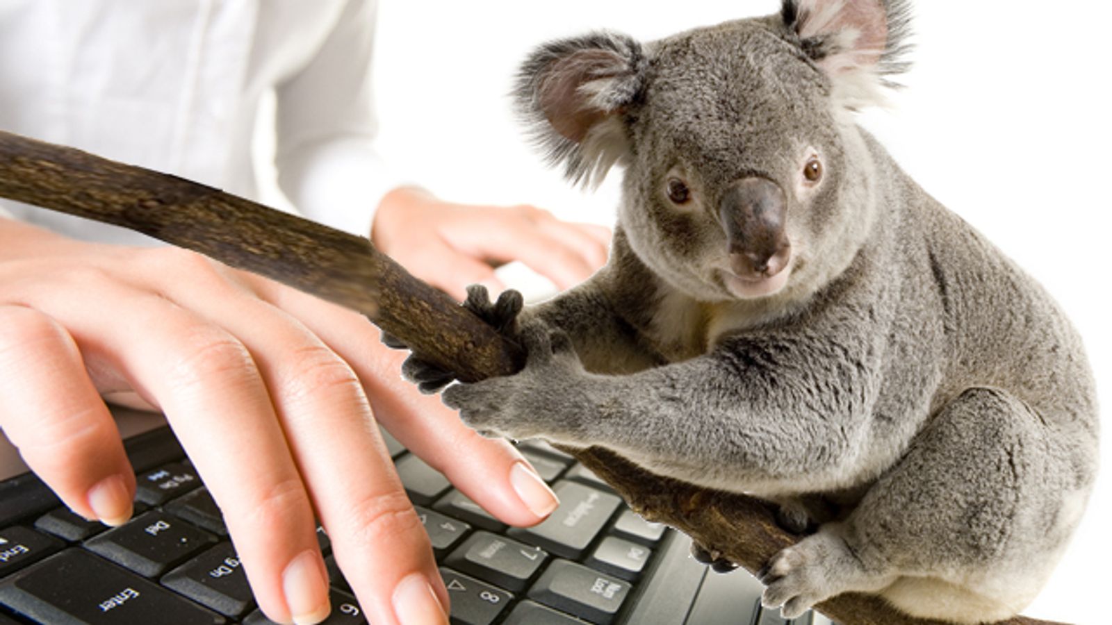 Aussie Web Agency Changes its Tune