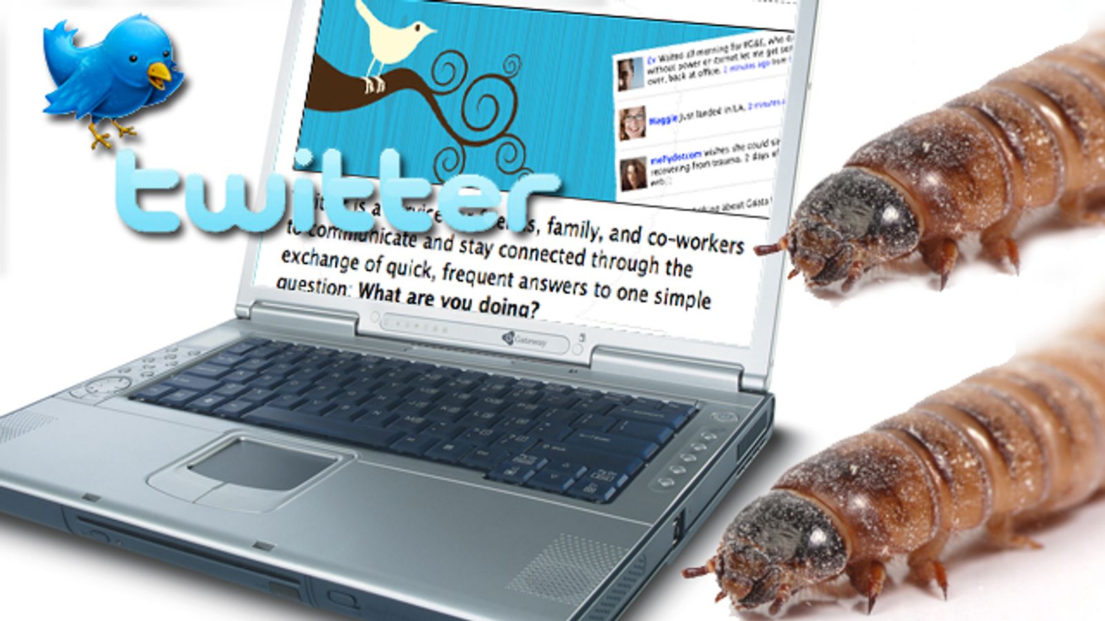 Twitter Hit by Worms Over Weekend