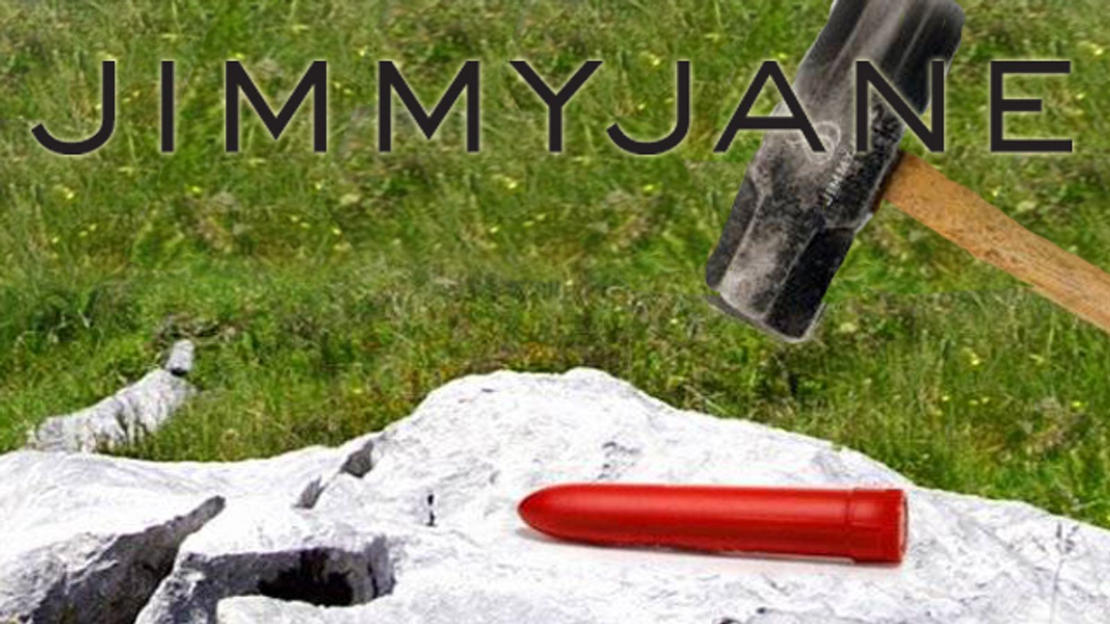 JimmyJane Encourages Consumers to Take Out Toxic Toys