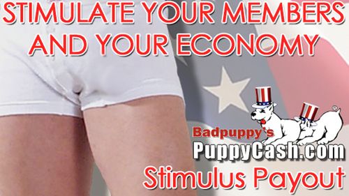 Badpuppy Offers Affiliates ‘Stimulus Payout’