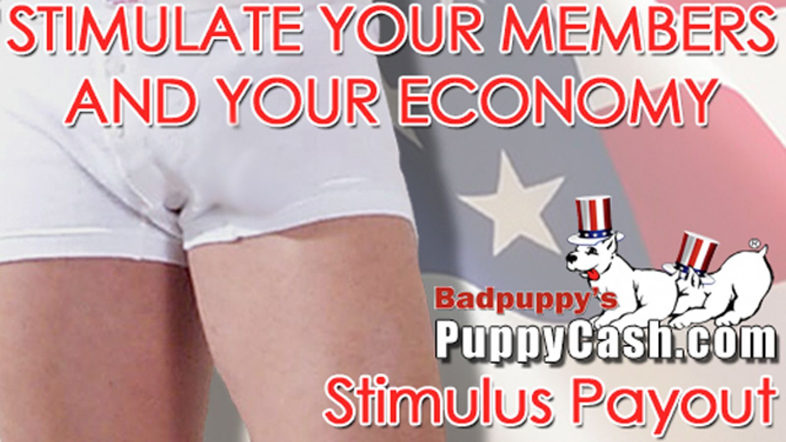 Badpuppy Offers Affiliates ‘Stimulus Payout’