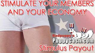 Badpuppy Offers Affiliates ‘Stimulus Payout’