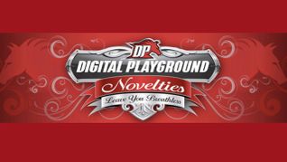 Digital Playground Novelties Seeks Director of Novelty Sales