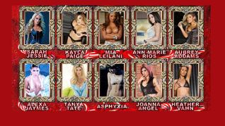 Adult Stars Come Together for Holiday Toy Drive