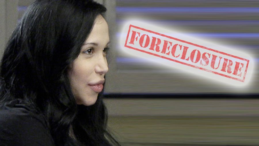 Vivid Offers to Rescue Octomom's Home from Foreclosure