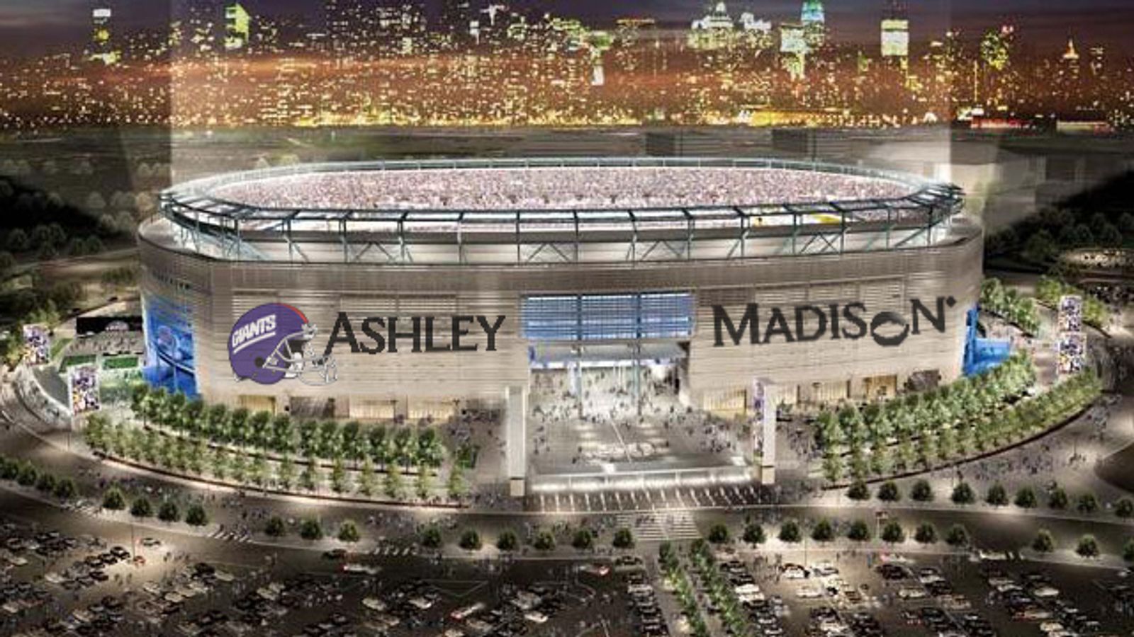 AshleyMadison Bids $25M for Naming Rights to Meadowlands Stadium