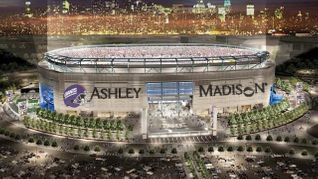 AshleyMadison Bids $25M for Naming Rights to Meadowlands Stadium