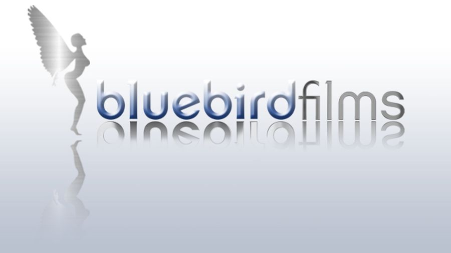 Bluebird Taps Drew Dixon for Sales