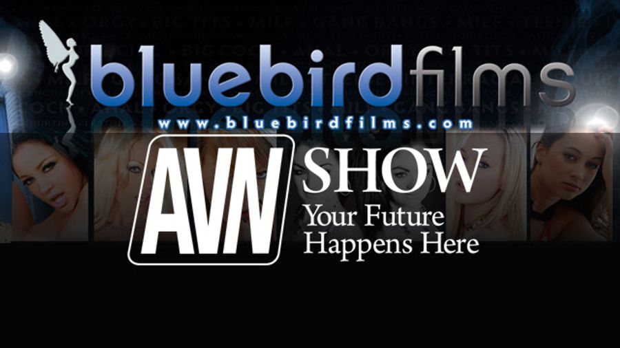 Bluebird Goes Hollywood