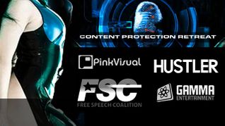 Pink Visual Seeks Solo Girl Sites for Content Protection Retreat