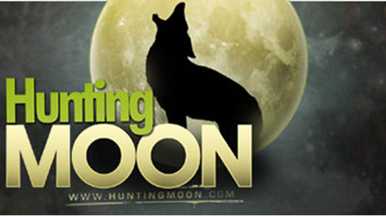 HuntingMoon Internext Domain Auction Under Way