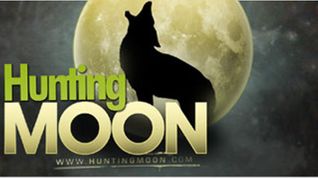 HuntingMoon Internext Domain Auction Under Way