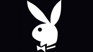 Playboy Sues Auckland Bar for Unauthorized Bunny Party