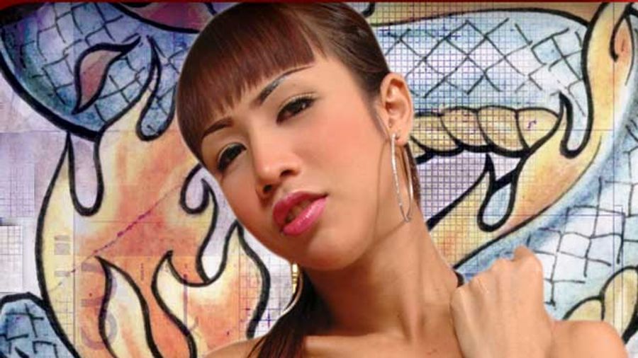 Shemale Erotica Releases 'Dude Looks Like A Ladyboy 4'