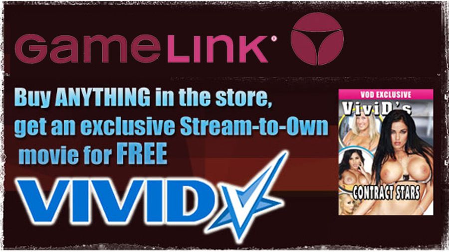 GameLink, Vivid Offer 'Vivid's Contract Stars' for Free