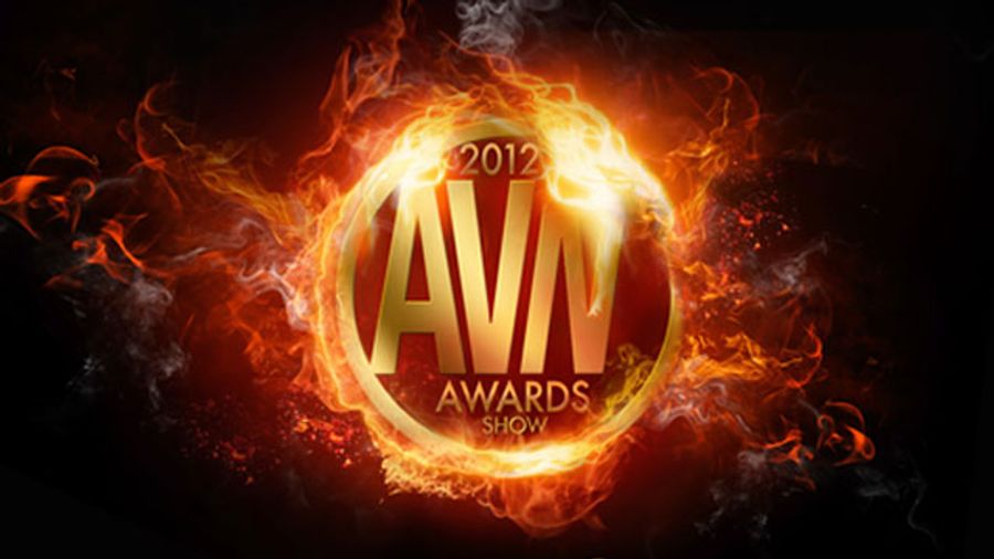 2012 AVN Awards Category Descriptions