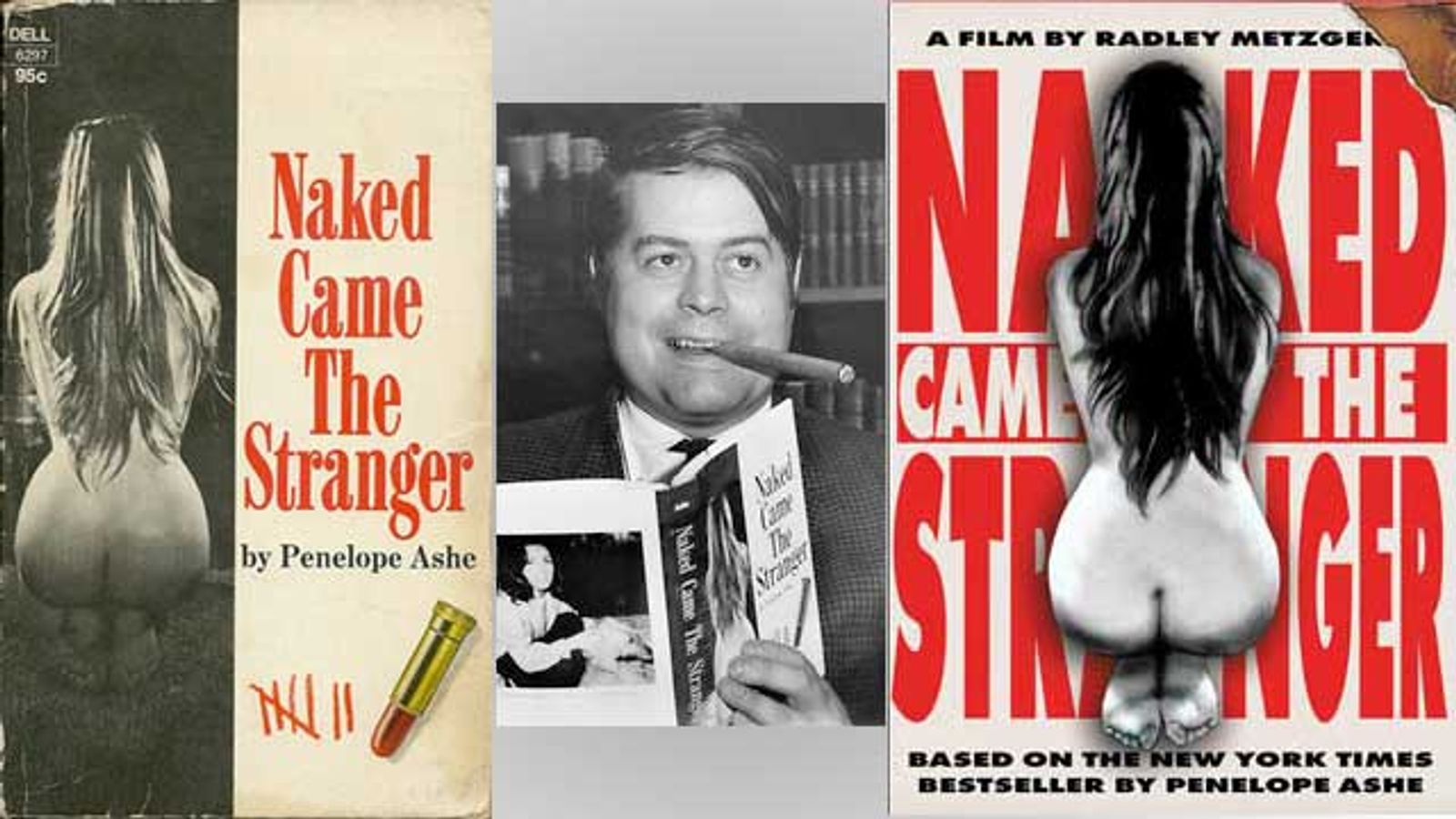 Mike McGrady, Editor of 'Naked Came The Stranger,' Dies