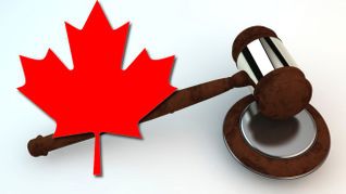 Canada Picks July 4 to Fire Shot in War on Foreign Sex Workers