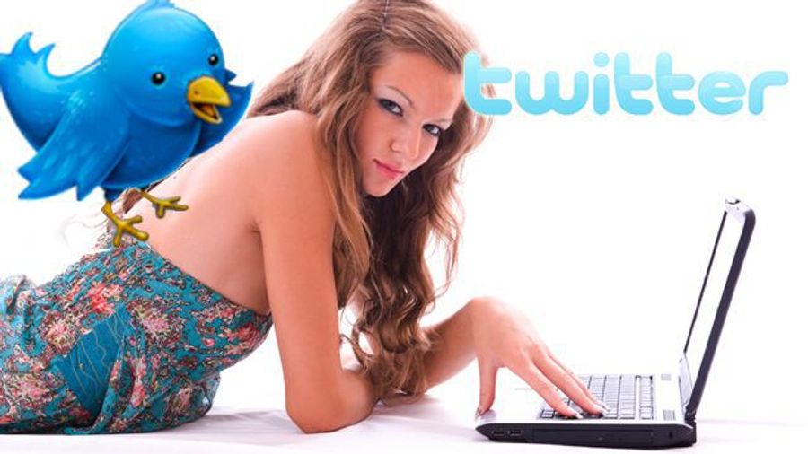 Porn Star Tweet Looks Into 'Fake Follower' Phenomenon